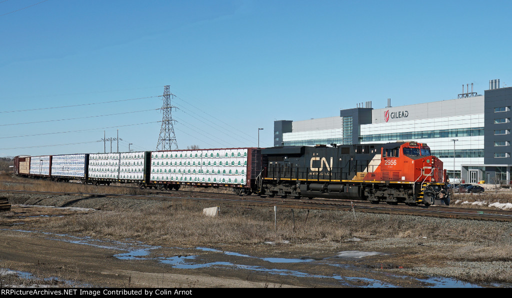 CN 2956